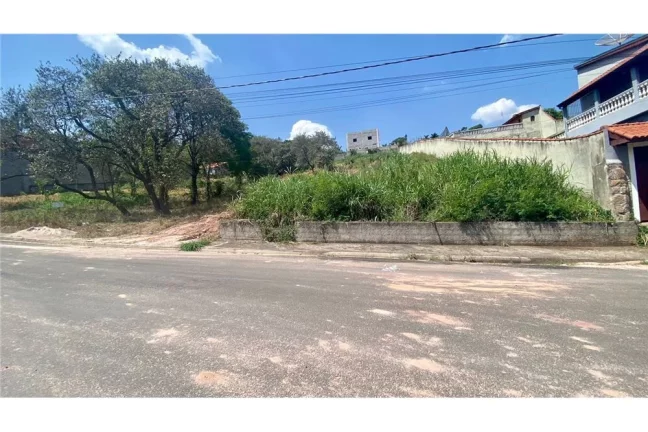 Imagem IRYROM 708 Lote 690591011-41