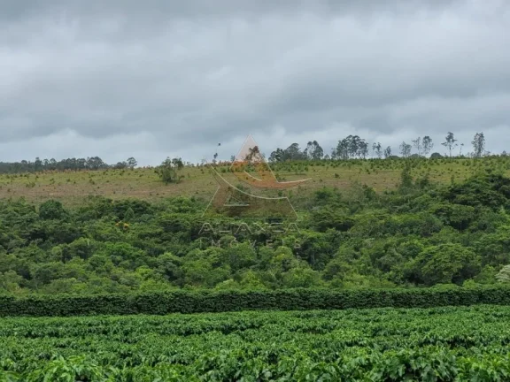 Imagem Fazenda - Santo Antônio do Amparo - Zona Rural