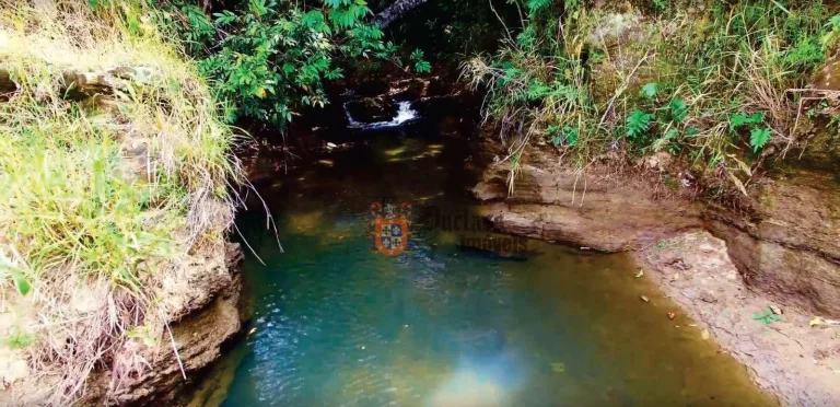 Imagem Fazenda à venda, 5422080 m² por R$ 30.000.000,00 - Alexânia - Alexânia/GO