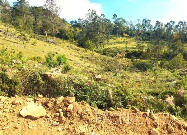 Imagem Fazenda à Venda, 70.000 m² em Sodrelândia - Trajano De Morais