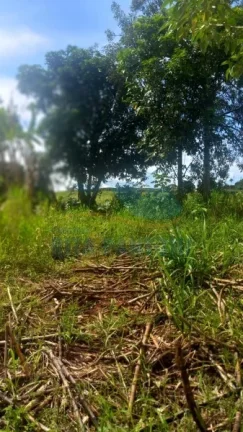 Imagem Rancho - Santo Antônio da Alegria - Poção