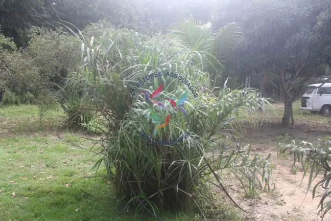 Imagem SÍTIO EM TRANCOSO - PORTO SEGURO - BAHIA