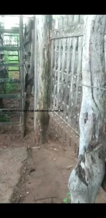 Imagem Fazenda para Venda em Natal, Potengi