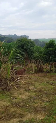 Imagem Área com quase 24 mil metros na Fazenda Rio Grande