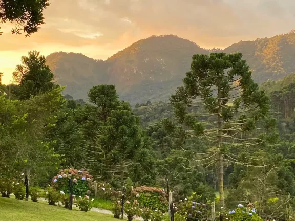 Imagem Contemplação e Design: O Equilíbrio Perfeito no Campestre