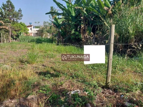 Imagem Terreno à venda, 253 m² por R$ 100.000,00 - Jardim Luisa - Guararema/SP