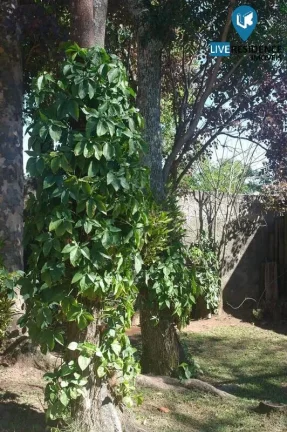 Imagem Linda casa de alto padrão em um terreno de 1000m² Live Residence