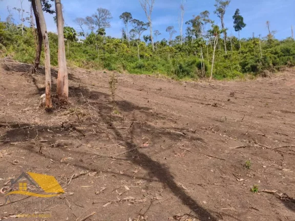 Imagem Vendo Àrea Rural a partir de 10 mil mts², Boa Topografia, Com RGI