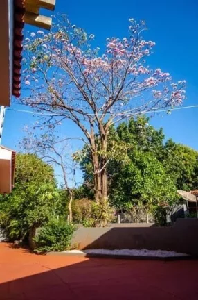 Imagem Impecável casa à venda em Ribeirão Preto-SP, no bairro City Ribeirão: 4 quartos, 4 suítes, 3 salas, 5 banheiros, 4 vagas, 562m².