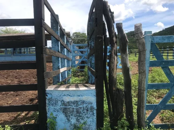 Imagem Excelente Fazenda em Belem Paraíba com 270 hectares