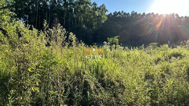 Imagem Chácara - Sítio com 1 Dormitorio(s) localizado(a) no bairro Pinhal Alto em Nova Petrópolis / RIO GRANDE DO SUL Ref.:1472