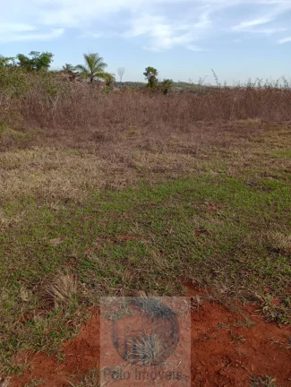 Imagem Sítio vende 10 alqueires em Altinópolis - SP, terra de cultura, vermelha e em pasto.