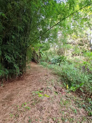 Imagem CHÁCARA LOCALIZADA NA PAINEIRA