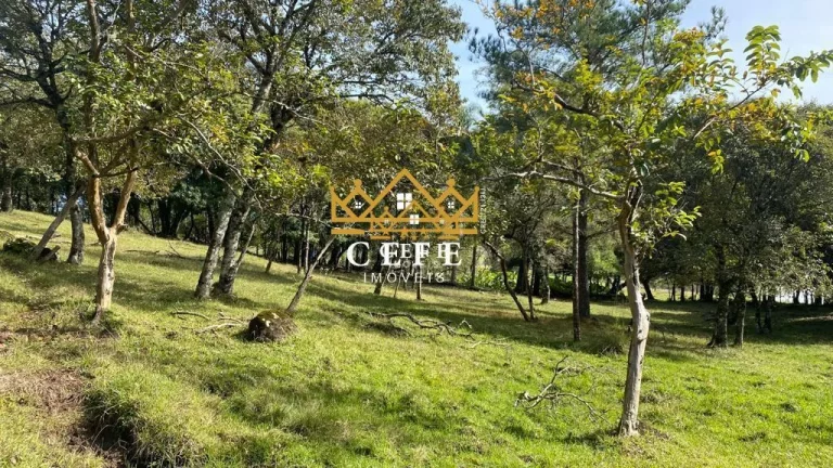 Imagem Chácara - Sítio com 1 Dormitorio(s) localizado(a) no bairro Zona Rural em Igrejinha / RIO GRANDE DO SUL Ref.:1337