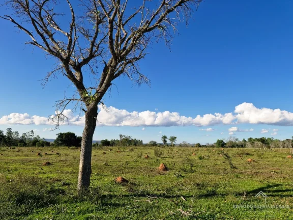 Imagem Chácara 7,8 hectares em Rochedo-MS