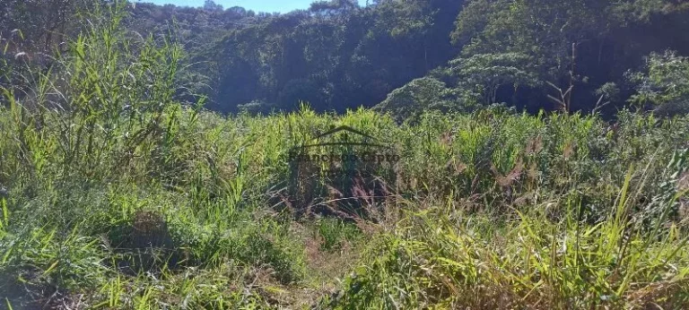 Imagem Terreno à venda no bairro Cedro - Cunha/SP