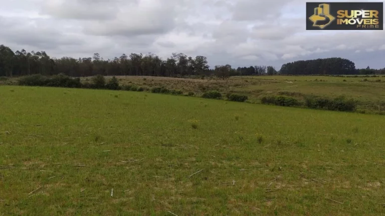Imagem Fazenda Espetacular no Capão do Leão-RS próximo de Pelotas