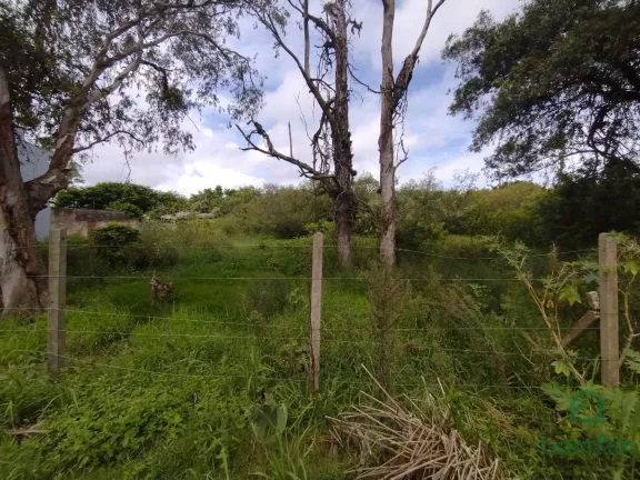 Imagem Terreno para aluguel, Ponta Grossa, Porto Alegre/RS. - TE2520