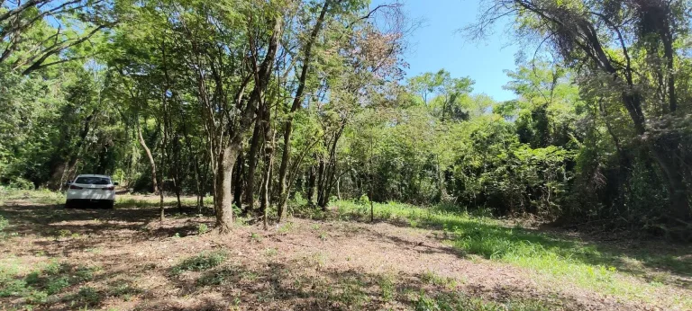 Imagem Chácara a venda em Cascavel, com 2,0992 hectare cada uma e matrícula indiviauais.