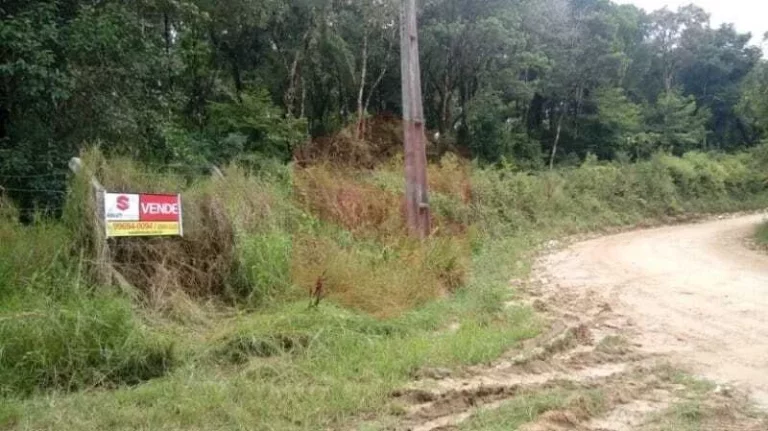 Imagem Chácara à venda em Campo Largo/PR