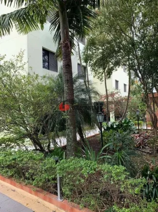 Imagem Apartamento à venda 2 Quartos, 2 Vagas, 65M², Jardim Stella, Santo André - SP