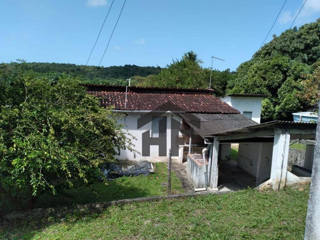 Imagem Chácara com 3 Quartos à Venda, 25.000 m² em Cruz De Rebouças - Igarassu