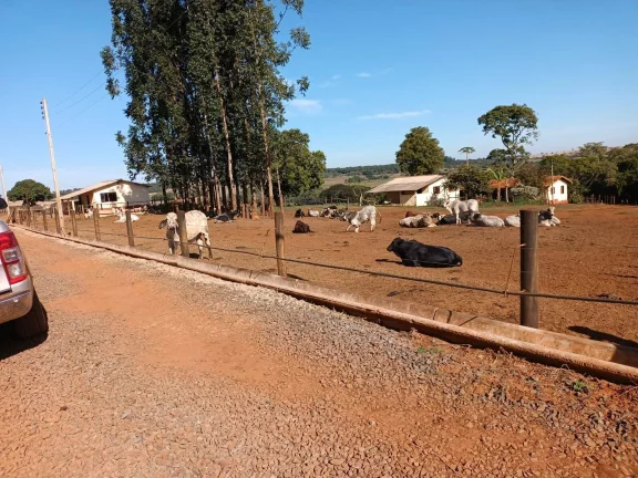 Imagem FAZENDA AVARÉ-SP