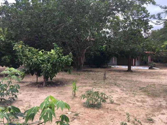 Imagem SITIO RESIDENCIAL em ALTOS - PI, Rural