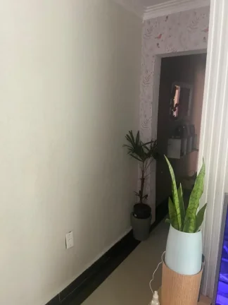 Imagem 2 Casas à Venda no mesmo quintal com 186m²!!!
