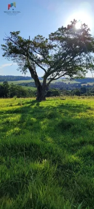 Imagem Sítio a venda em Itapetininga SP