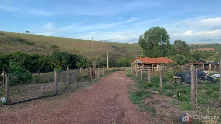 Imagem Sítio à Venda na Comunidade Caixetas – Guimarânia-MG | 11,9 Hectares com Casa de 186m² – R$ 700 Mil
