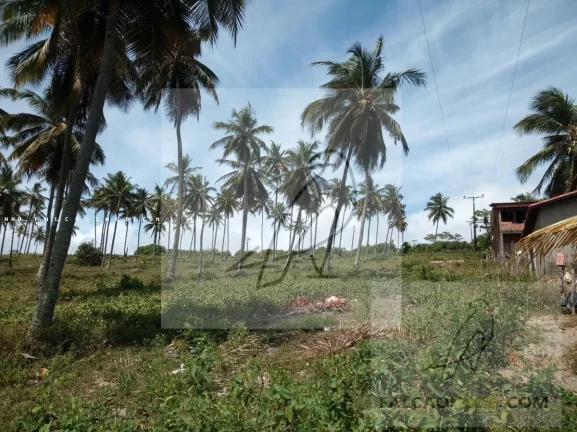 Terreno à Venda, 140 m² em São Cristóvão - Salvador