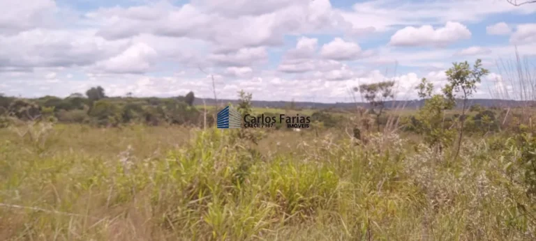 Imagem Chácara para Venda em Brasília, Setor Habitacional Tororó (Jardim Botânico)