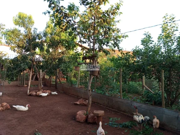 Imagem Casa à venda na Vila Elza, Aramina: 3 dormitórios e suíte!