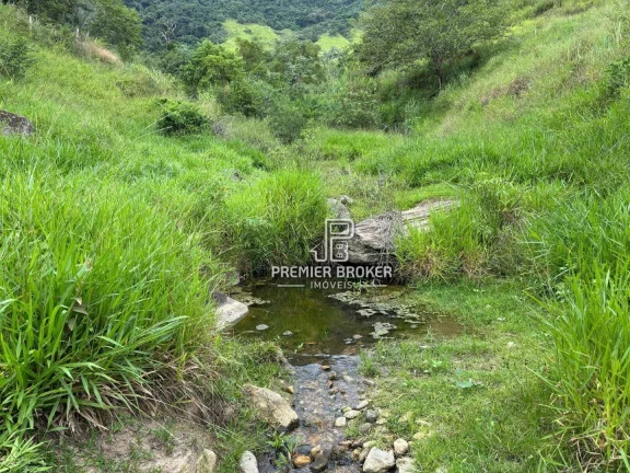 Imagem Fazenda à venda, 1645600 m² por R$ 3.800.000,00 - Vila do Pião - Sapucaia/RJ