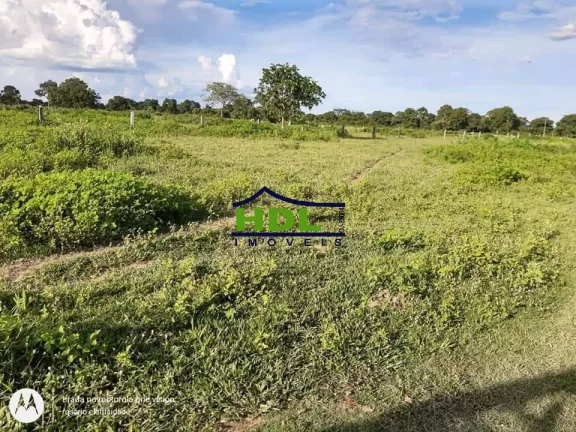 Imagem Fazenda 318 Alqs Barranca do Rio Araguaia em Araguaiana/MT