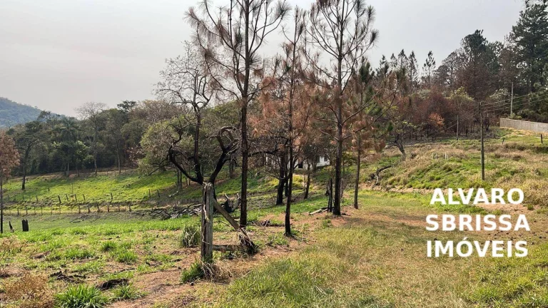 Imagem Sitio com 14,1482 Ha na rodovia Castelo branco em itu/SP