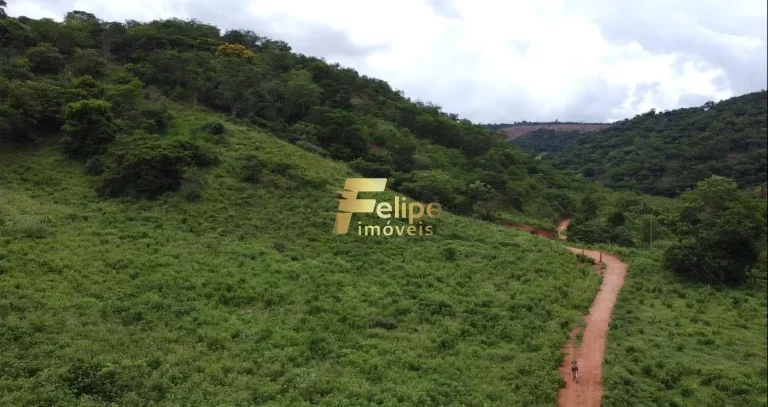 Imagem LINDA FAZENDA A 70KM DE COLATINA!