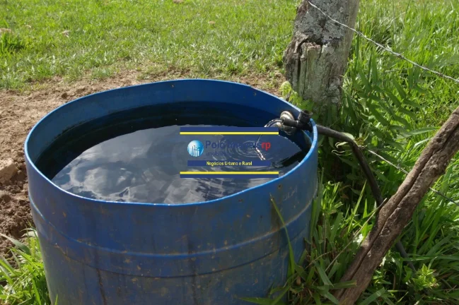 Imagem Sítio 14 alqueires com estrutura, casa, água e energia, R$ 90.000,00 valor do alqueire - Jacuí - Minas Gerais