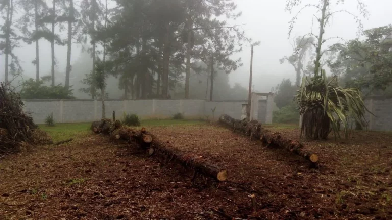 Imagem Terreno no Jardim Silveira - Marsilac