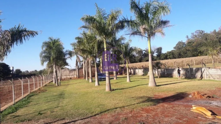 Imagem Excelente terreno 2020m² com 20 palmeiras imperiais.