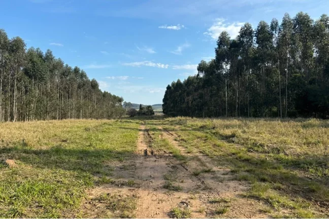 Imagem Fazenda/Sítio para venda no bairro Centro em Tapes