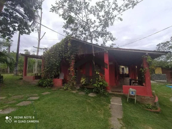 Imagem Sitio com 06 quartos, localizado na Estrada Chã de Alegria, 10 km, Paudalho, PE