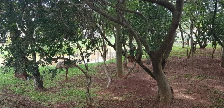 Imagem Casa com 3 dormitórios à venda, 340 m² por R$ 2.800.000,00 - Jardim Residencial Tivoli Park - Sorocaba/SP