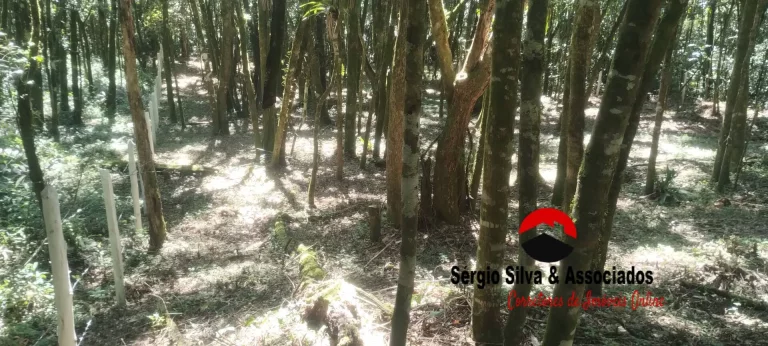 Imagem Terreno a Venda Localizado na Região da Vila Natal em Campos do Jordão -SP.