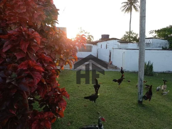 Imagem Lotes de 800m² à venda em Tracunhaém-PE