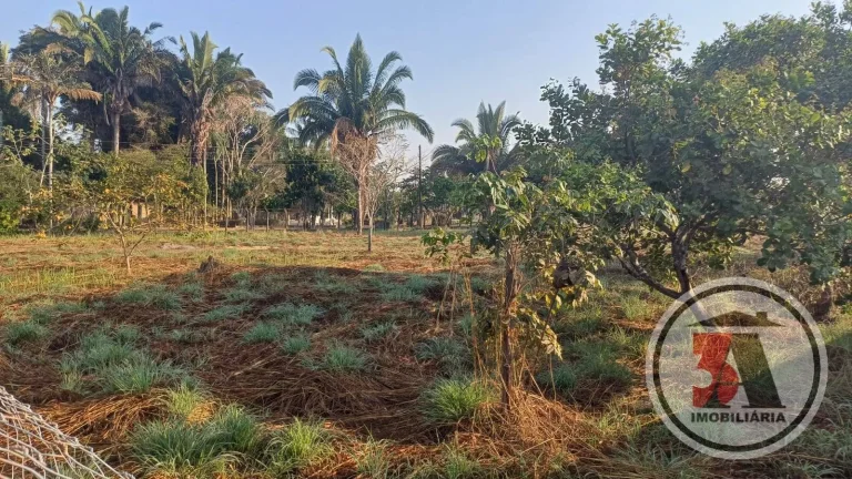 Imagem 5000M2 Próximo a FARO