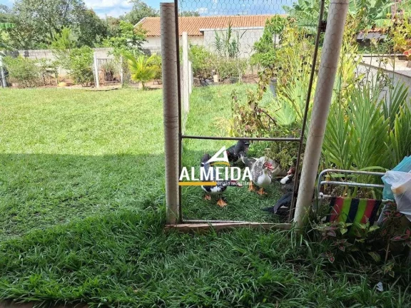 Imagem Chácara com 3 dormitórios à venda, 1400 m² por R$ 1.200.000,00 - Jardim Santa Maria - Rio Claro/SP