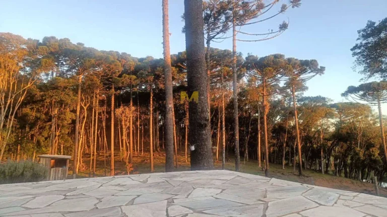 Imagem Chácara à venda no bairro Capoeira dos Dinos em Piraquara!!!