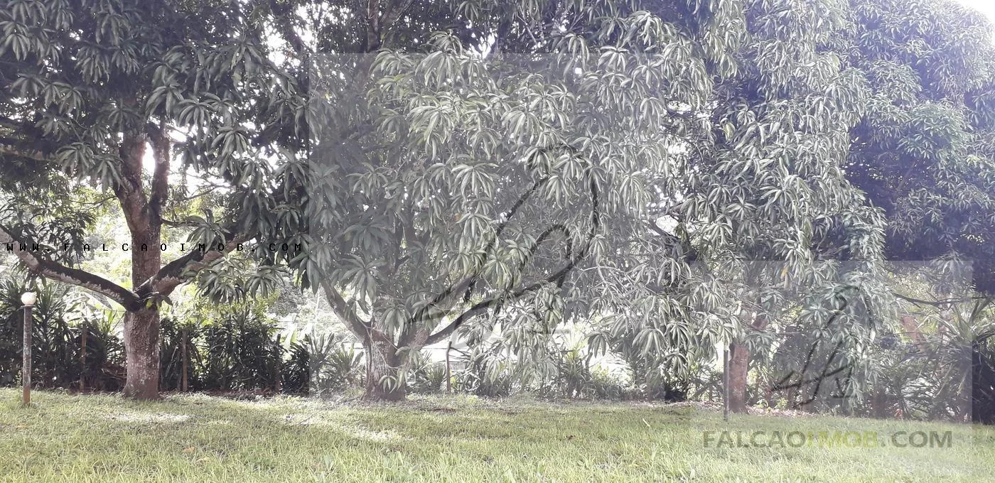 Imagem Sítio para Venda em Salvador / BA no bairro Cassange